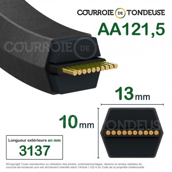 Le modèle de Courroie de coupe TORO / WHEEL HORSE 44-6260 - AA121,5T